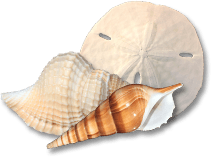 shell